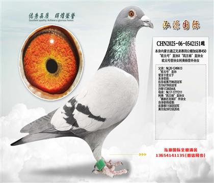 ��ŷԪ�š�ֱ��X�������ֱ��Ů