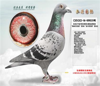 ������ƥ��003������X���Ͽ�����¡�����Ů