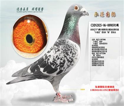 ��С�Ͽˡ�����X�������Ů