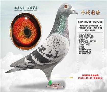 �������޵С�ֱ��X��С�Ͽˡ�����Ů