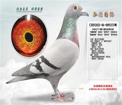 ������098��ֱ��X�����ض�����Ѫ��Ů