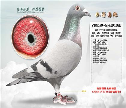 ���ҡ�240������X���¡�003������Ů