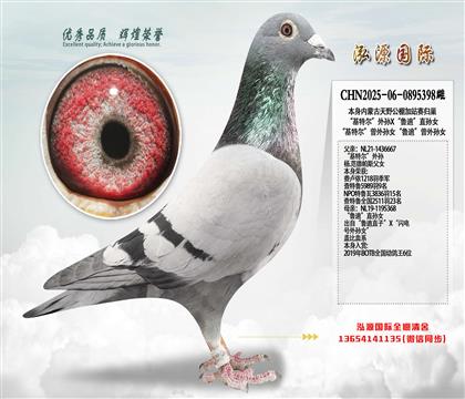 �����ض�������X��³�ϡ�ֱ��Ů