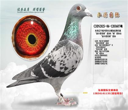 ���Ͽ�����¡�ֱ��X�������Ů