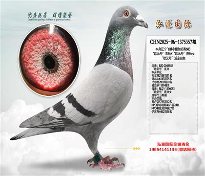 ��ŷԪ�š�ֱ��X��ŷԪ�š�����Ů