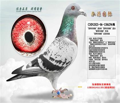 ������ƥ��003��ֱ��X������ƥ��003����Ů