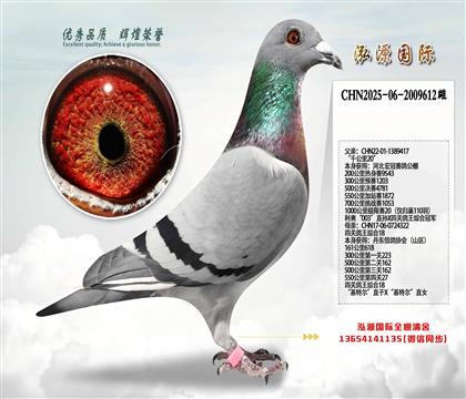 ��ǧ����20��X�Ĺظ����ۺ�18