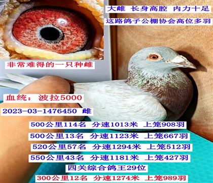 ����5000����29λ