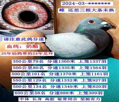 600����58�������