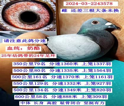 600����58�������