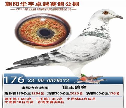 Ư���԰��ִ�