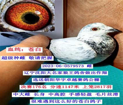 Ư���԰��ִ�