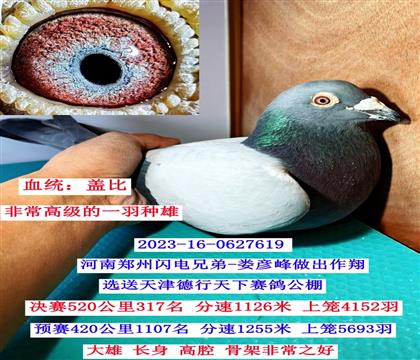 �������¹���317�����Ǳȣ�