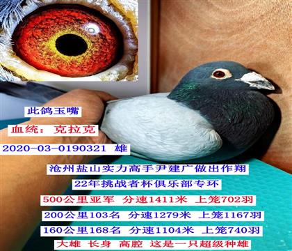 ���������Ǿ��������ˣ�