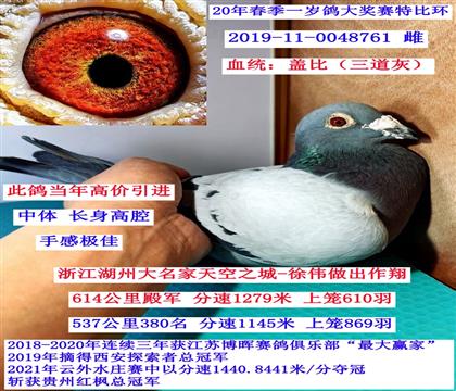 �㽭�������֮��-��ΰ���Ǳȣ�