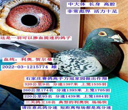 �̾���߷���ѡ��