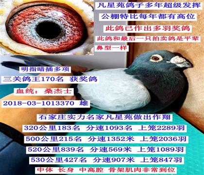 ����170λ��ɣ��ʿ����һ��