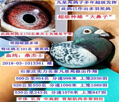 ����101λ��ɣ��ʿ���۶���