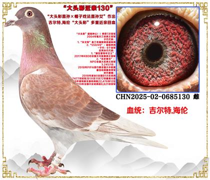 ������.���ס���ͷ��ֱ���ñ��Ϸ��ֱ��Ů������