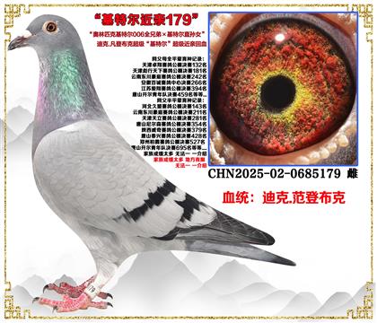 �Ͽ�.���ǲ��ˡ����ض�006ȫ�ֵܡ����ض�ֱ��Ů��