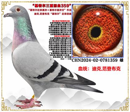 �Ͽ�.���ǲ��ˡ����ض�����ֱ������ض�ֱ��Ů�����ػ�Ѫ