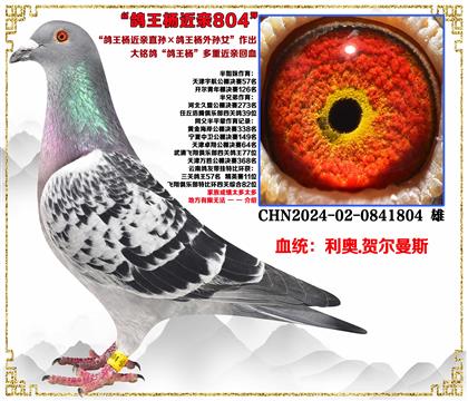 ���¡����������ֱ�������������Ů�����׻�Ѫ