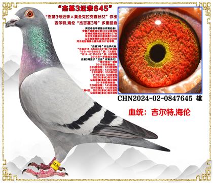 ������.���ס��ܻ�3�Ž��ס��ƽ������ֱ��Ů������