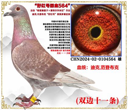 �Ͽ�.���ǲ��ˡ�������ֱ��X���ض�����Ů���ú�Ŷ��ؽ���