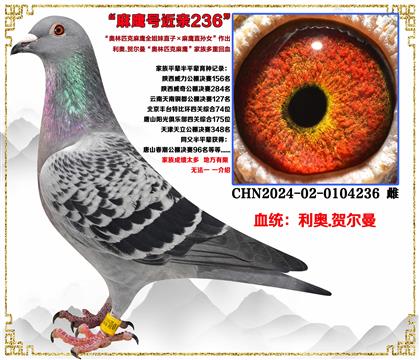 ���¡�����ƥ����ӥȫ����ֱ��X��ӥֱ��Ů����������