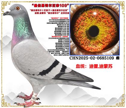 �ϻ�.�����ա���ѻ��ض�ȫ�ֵ�ֱ�ӡ���ѻ��ض����ס�