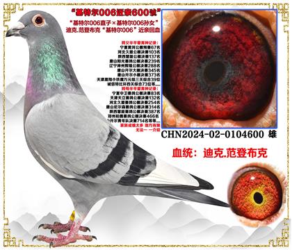 �Ͽ�.���ǲ��ˡ����ض�006ֱ�ӡ����ض�006��Ů��