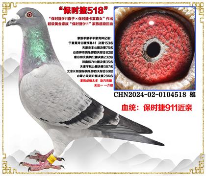 ����ʱ��911ֱ��X��ʱ��911ȫ�ֵ�ֱŮ������