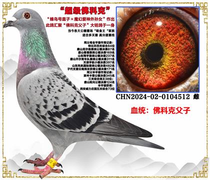 ��ƿˡ������ֱ�ӡ�ħ�ð�������Ů������