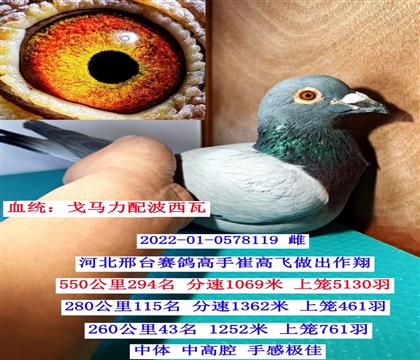 �������ɼ��루�������䲨���ߣ�