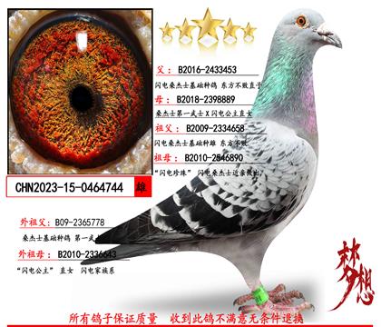 ��������ֱ��Xɣ��ʿ��һ��ʿX���繫��ֱŮ