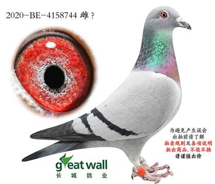 17.�ƽ�����x����С��.4158744