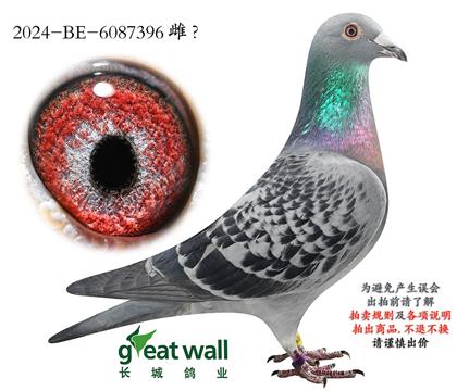 14.����ԭ��.6087396