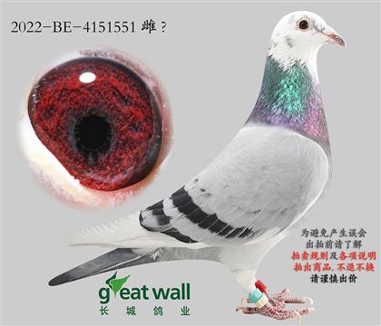 18.��ʱ��911ֱŮ.4151551