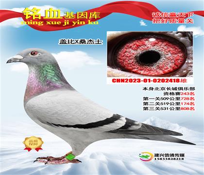 �Ǳ�Xɣ��ʿ418