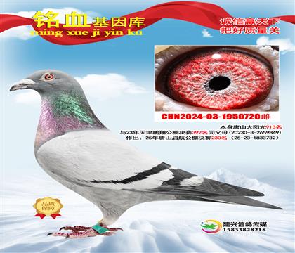 ����230������720