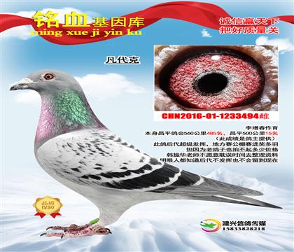 ������ƽ���560����485��