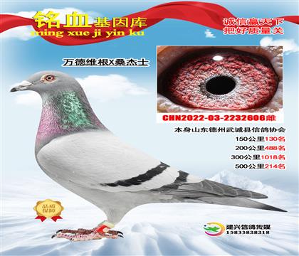 Э��500����214��