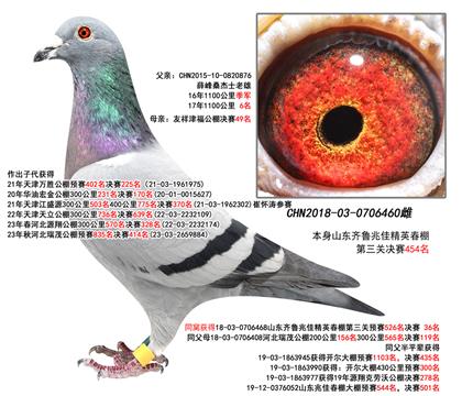 �������ۣ�Ѧ��ɣ��ʿ����ֱŮ460