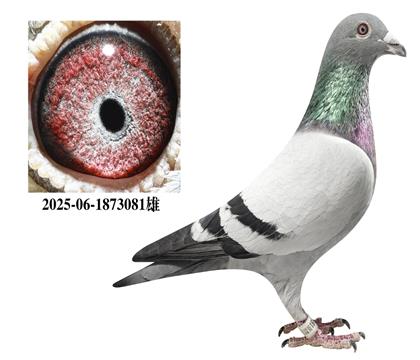 ����x����081