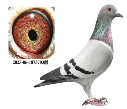 ����x����703