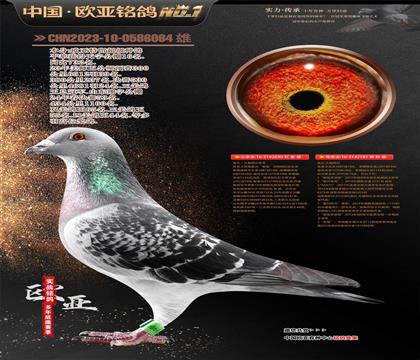 �Ǳ�ԭ��³��ֱ��030X��ޱ���ꡱ�¸��׵�191