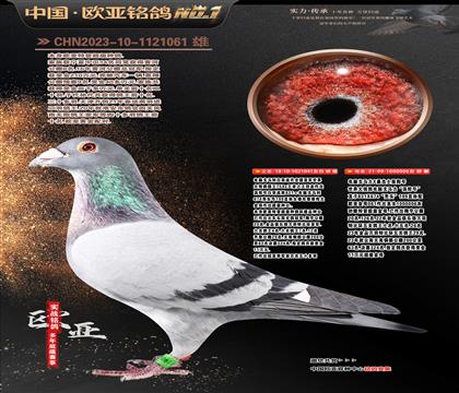 ����041Xɣ��ʿ006