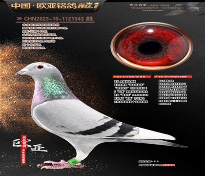 �Ǳ�ԭ�������ֱ��190X�ʼһ�ֱŮ359