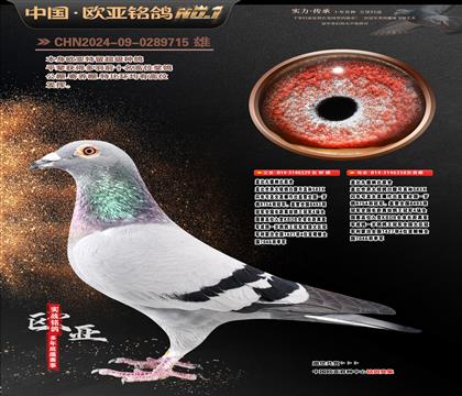 �Ǳ�ԭ��ʼһ�ֱ��329X�ʼһ�ֱŮ358����