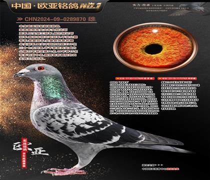 ղɭ���659Xղɭ766ֱŮ765